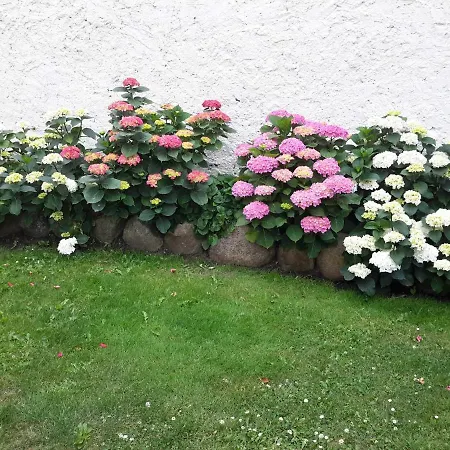 Apartment Beypa Lassan